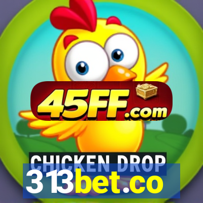 313bet.co