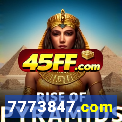 7773847.com