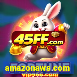 amazonaws.com