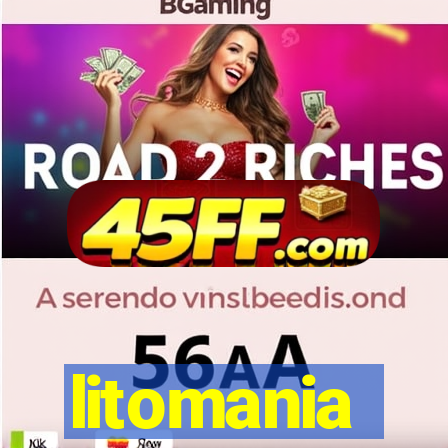 litomania