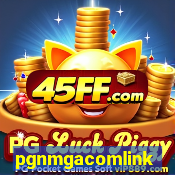 pgnmgacomlink