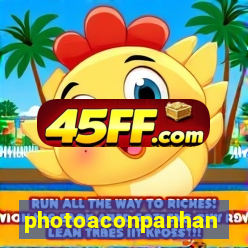 photoaconpanhante