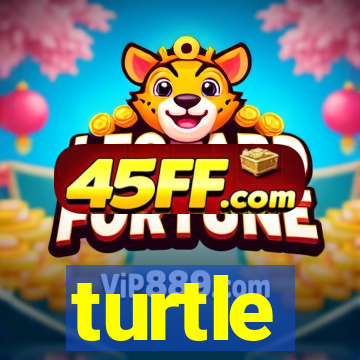 turtle-ty.com