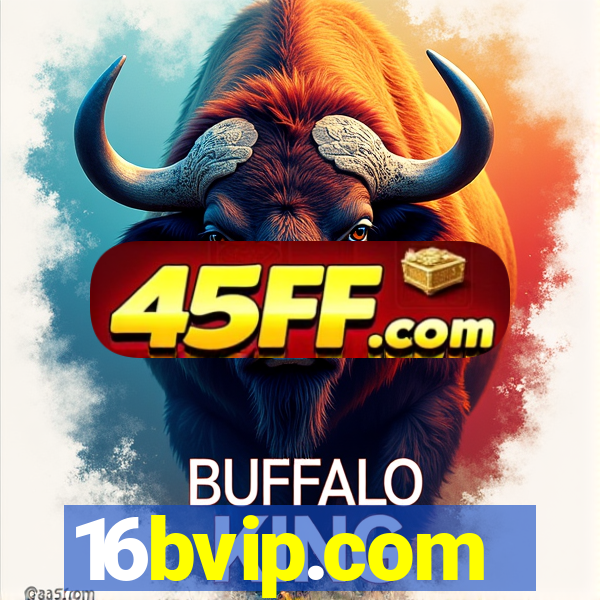 16bvip.com