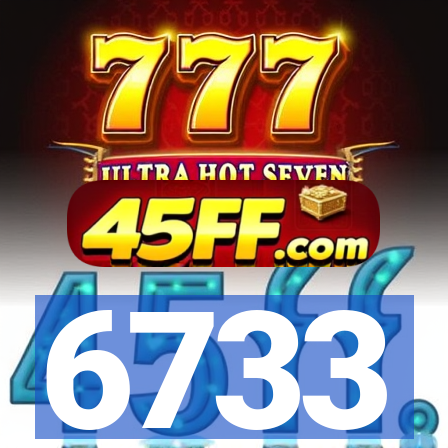6733